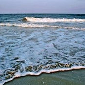 Susan Blakey's photo