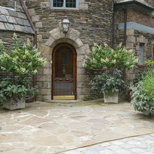 Lorena’s Outdoor Plants