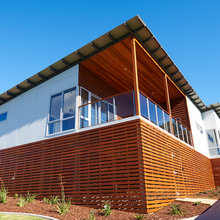 Lancewood