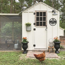 Chicken Coop