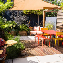 9 Ways to Enjoy Colour in Your Garden All Year Round