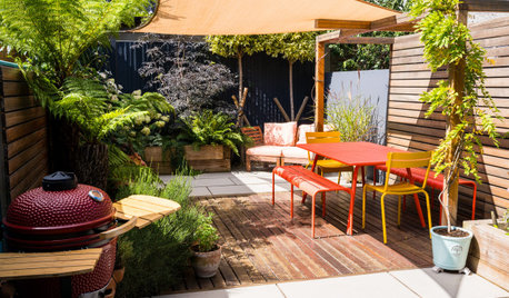 9 Ways to Enjoy Colour in Your Garden All Year Round