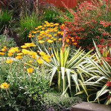 Landscape Ideas