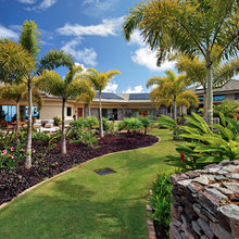 Tropical Landscape