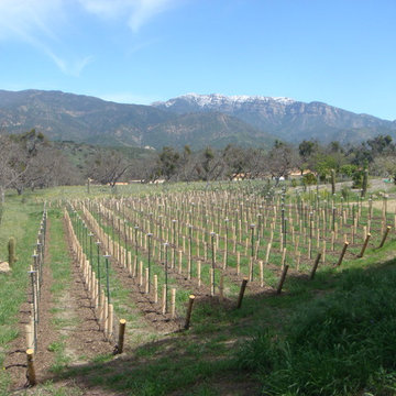 various photos