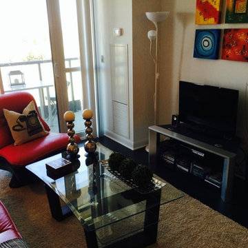 Bold Color-Living Room- -500 Sq. Ft. Condo