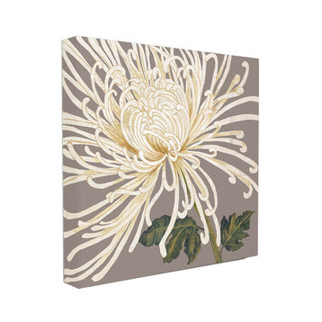 Graphic White Chrysanthemum, Canvas, 17"x17"