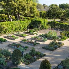 new garden