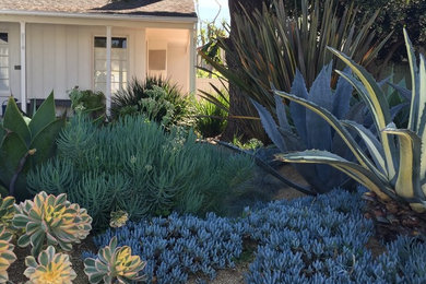This is an example of a landscaping in Los Angeles.