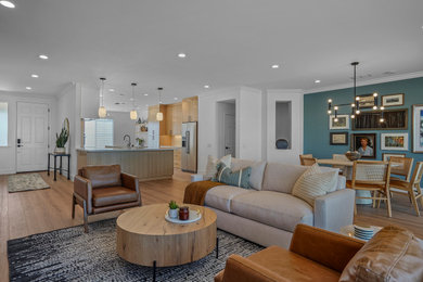 Design ideas for a living room in Sacramento.