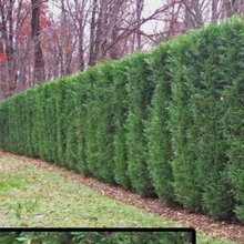 Harrow - Landscaping