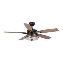 Indoor Ceiling Fan
