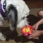 Sara Weigold Smith's photo