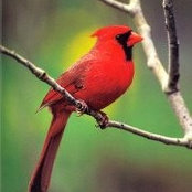 Monica Barkowski's photo