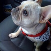Photo de Roscoe Wee