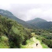 Steven Locke's photo