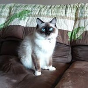 Lori L's photo