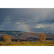 Dennis Guidry's photo