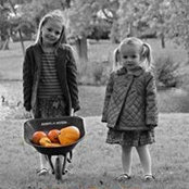 Dan Hemphill's photo