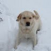 Paul Herron's photo