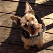 Teena Ahlgrim-jackson's photo