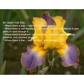DiAnn Griffins foto