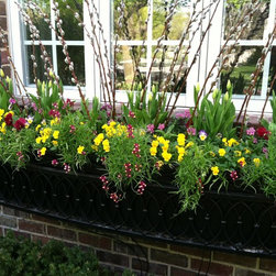 Spring Rotations - Plants