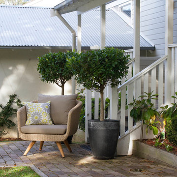 Watson's Bay Home - Osier Belle Tresse Armchair