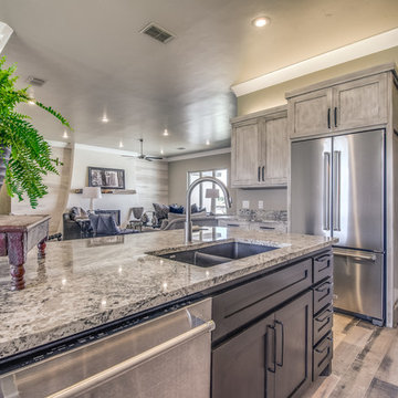 2017 Trails at Regal Park Spec Home