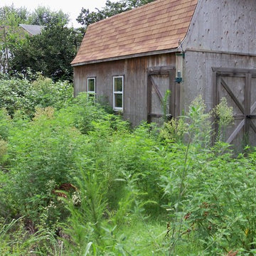 Ugly Yard Contest Winner