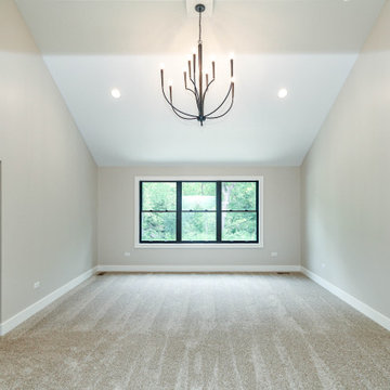 Modern Farmhouse Modified Hampton | Oak Bluff Estates Lemont, IL
