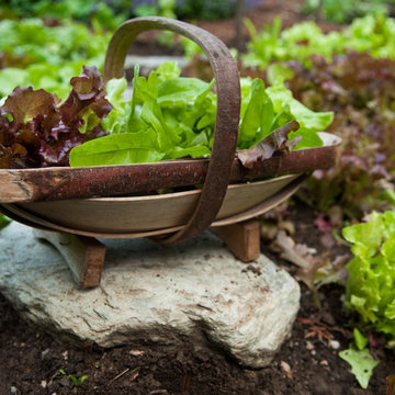 The Complete Kitchen Garden Book