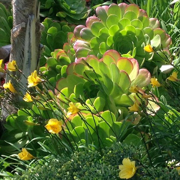 Paradise in Santa Barbara