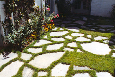 Design ideas for a traditional landscaping in Austin.