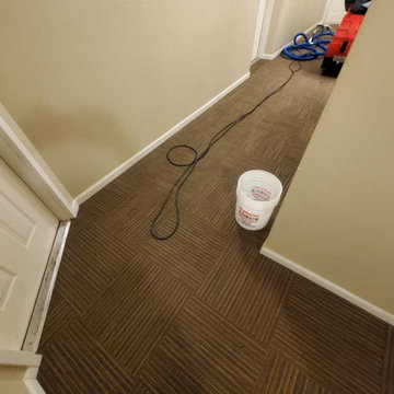 High-Rise Strata Tile and Grout Cleaning Commercial Carpet Cleaning