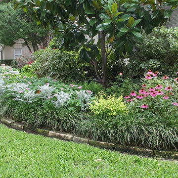 Beautiful Blooming Borders