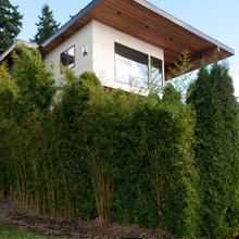 webuser_41259's ideas