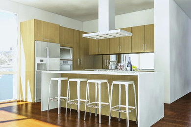 Kitchen - kitchen idea in Miami