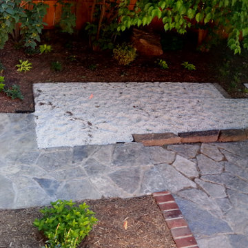 Backyard Overhaul