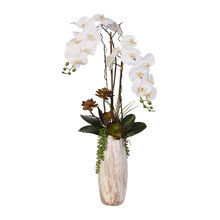 orchid