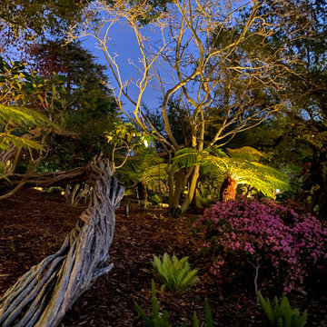 Berkley Hills lighting project