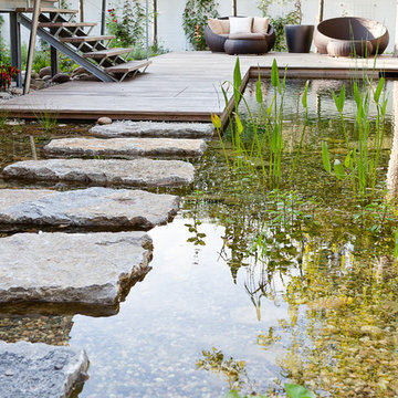 BioNova Natural Swimming Pools - International