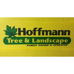 Hoffman Tree and Landscape