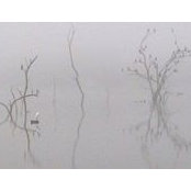 Terry Cole's photo