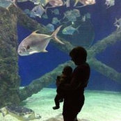 Jodi Strevig's photo