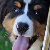 Justine Collins's photo