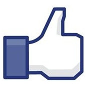 Tom Lynch's photo