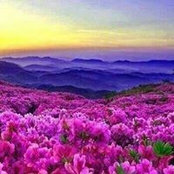 Ashraf Said's photo