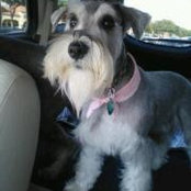 Marilyn Abreu's photo