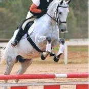Karen Polley 'Shirrine''s photo